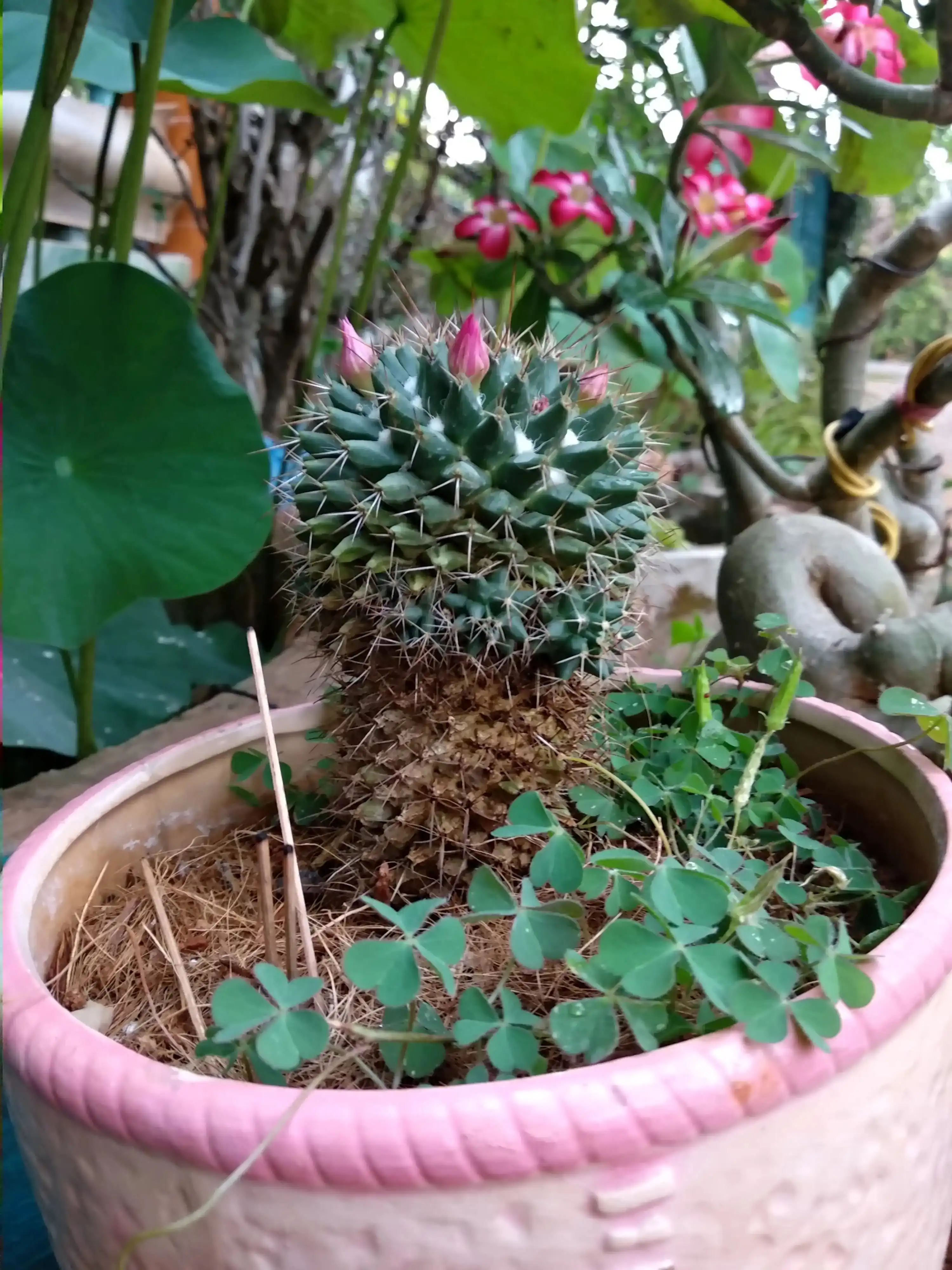 Điều đẹp đẽ nhất trong tình yêu là gì? Điều đẹp đẽ nhất trong tình yêu là gì?