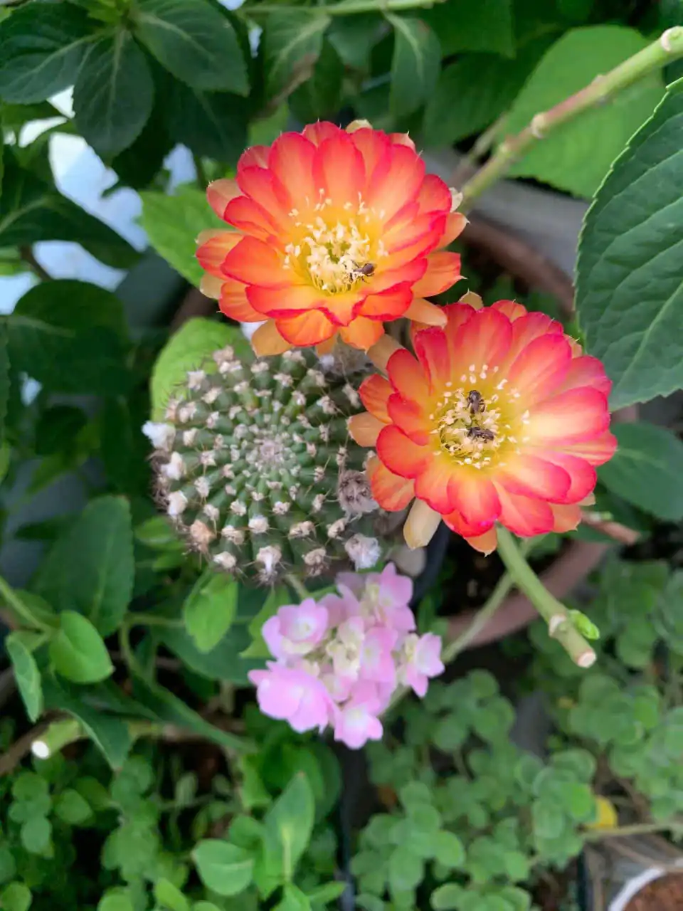 Trong đời, sóng gió chính là lửa thử vàng