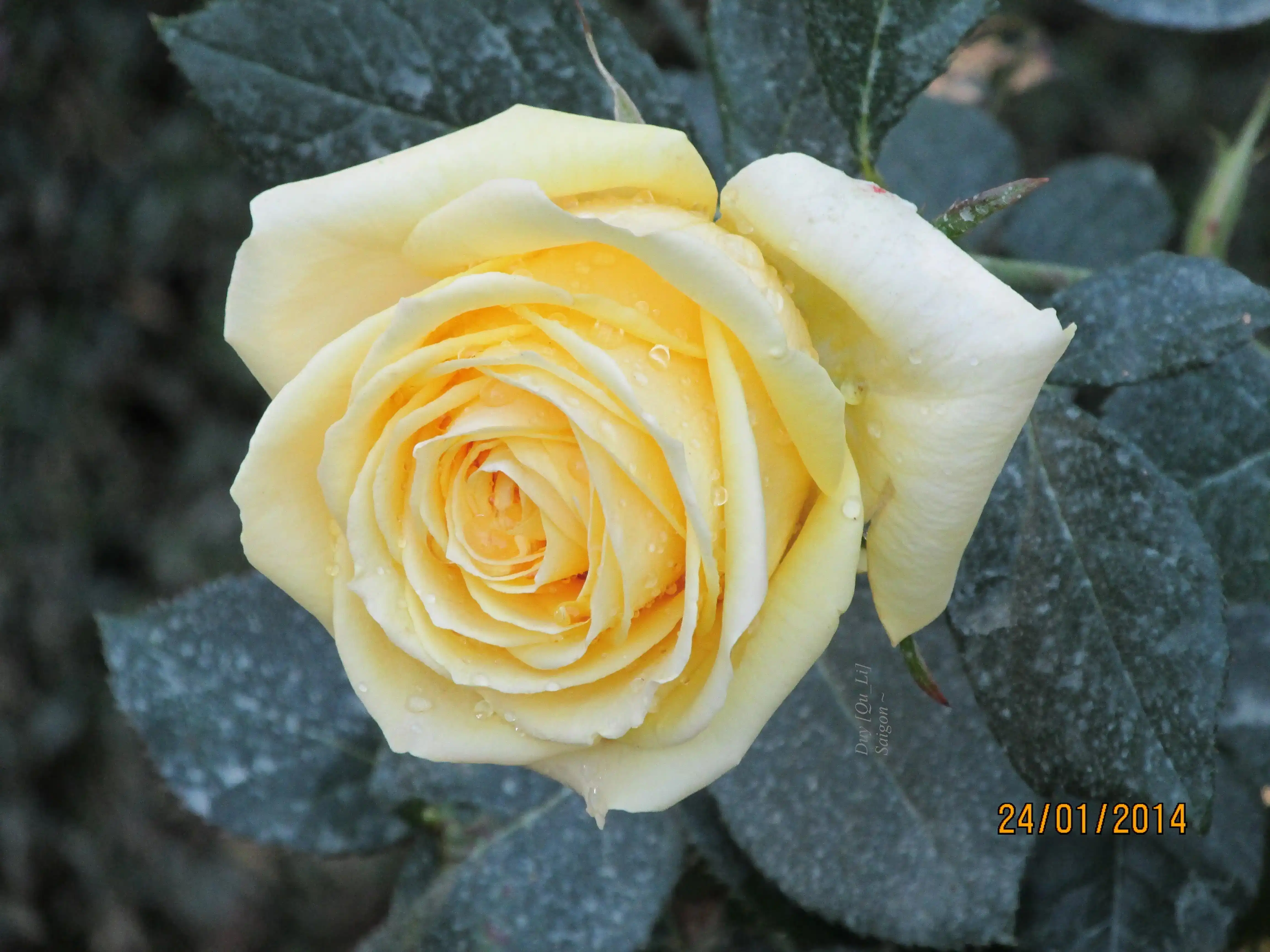 Ngày quốc tế đàn ông (19/11): Cho phép đàn ông được trọn vẹn là con người