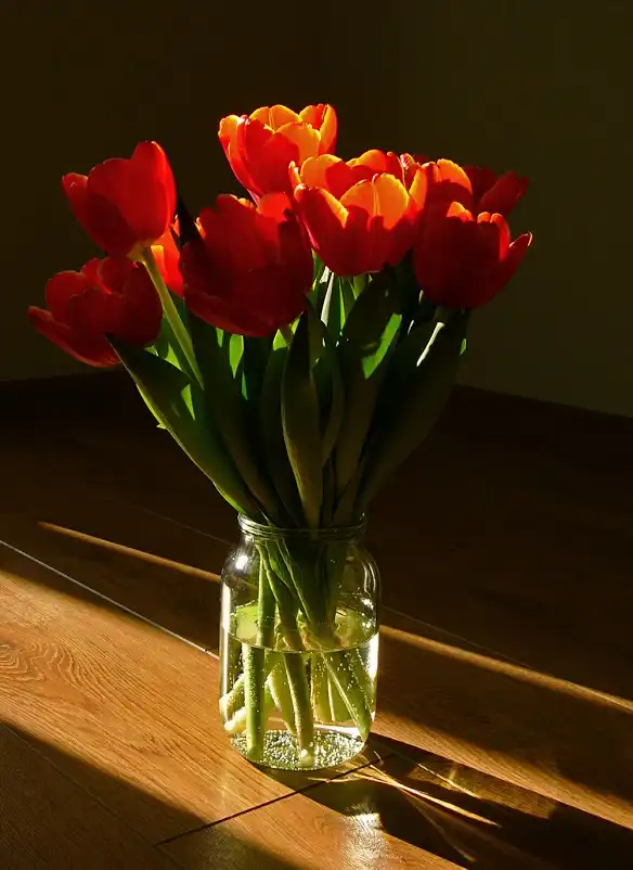 Tình yêu chân thực là tự do