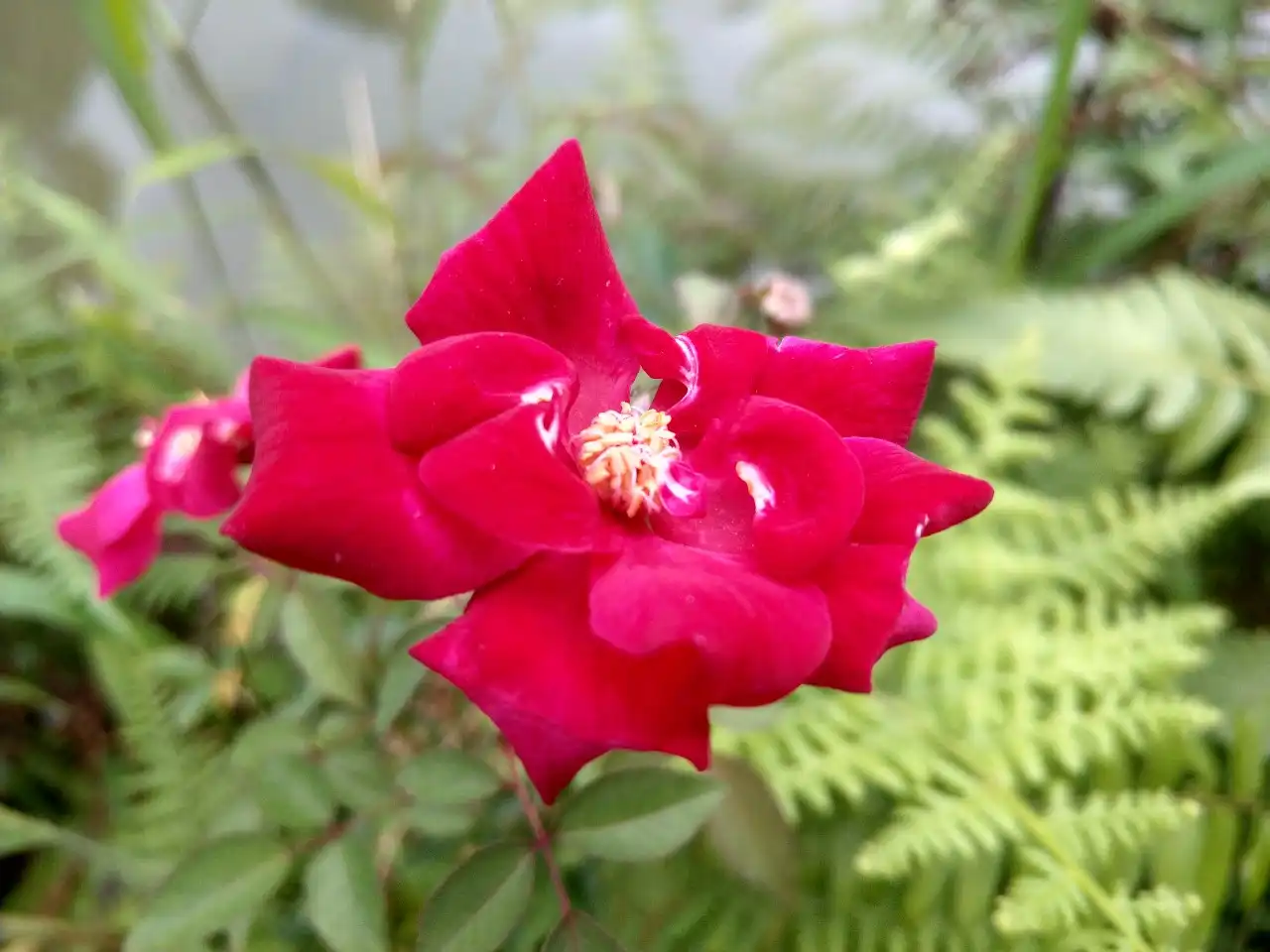 Chiều cuối năm: Khoảng lặng giữa hai miền thời gian