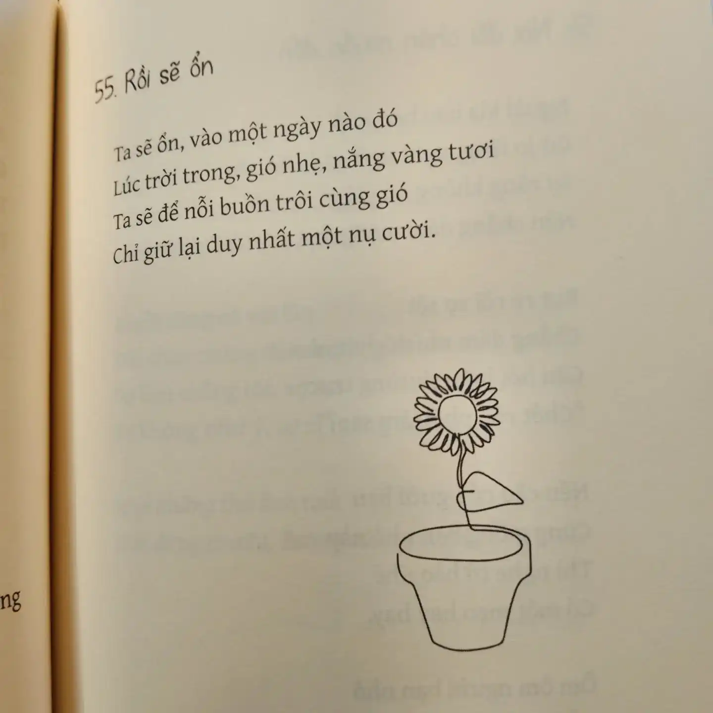Hành trình đi qua những ngày bão để thấy nắng vàng tươi