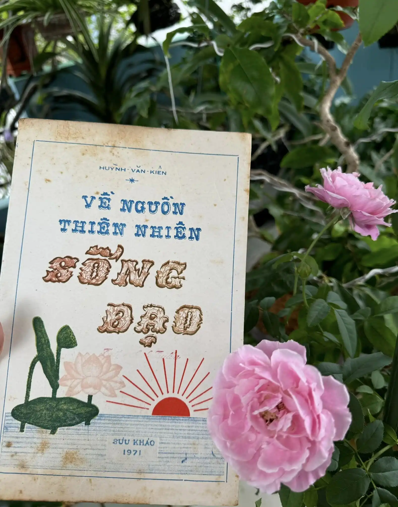 Sống thuận tự nhiên: Hậu đãi của sự thâm trầm