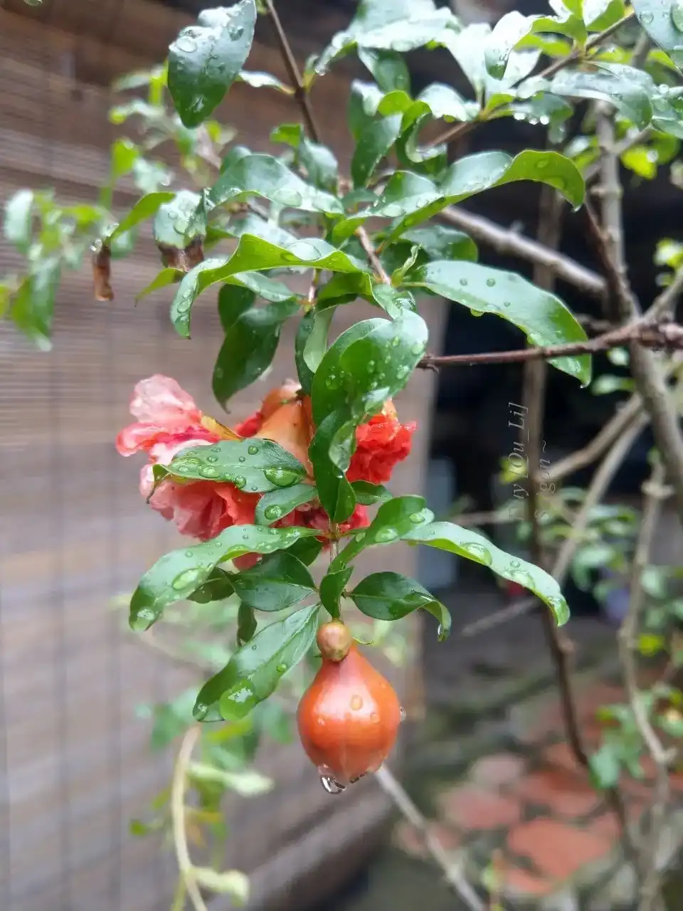 Tự lực khai phóng: Nội lực giữa đời thường hiện đại